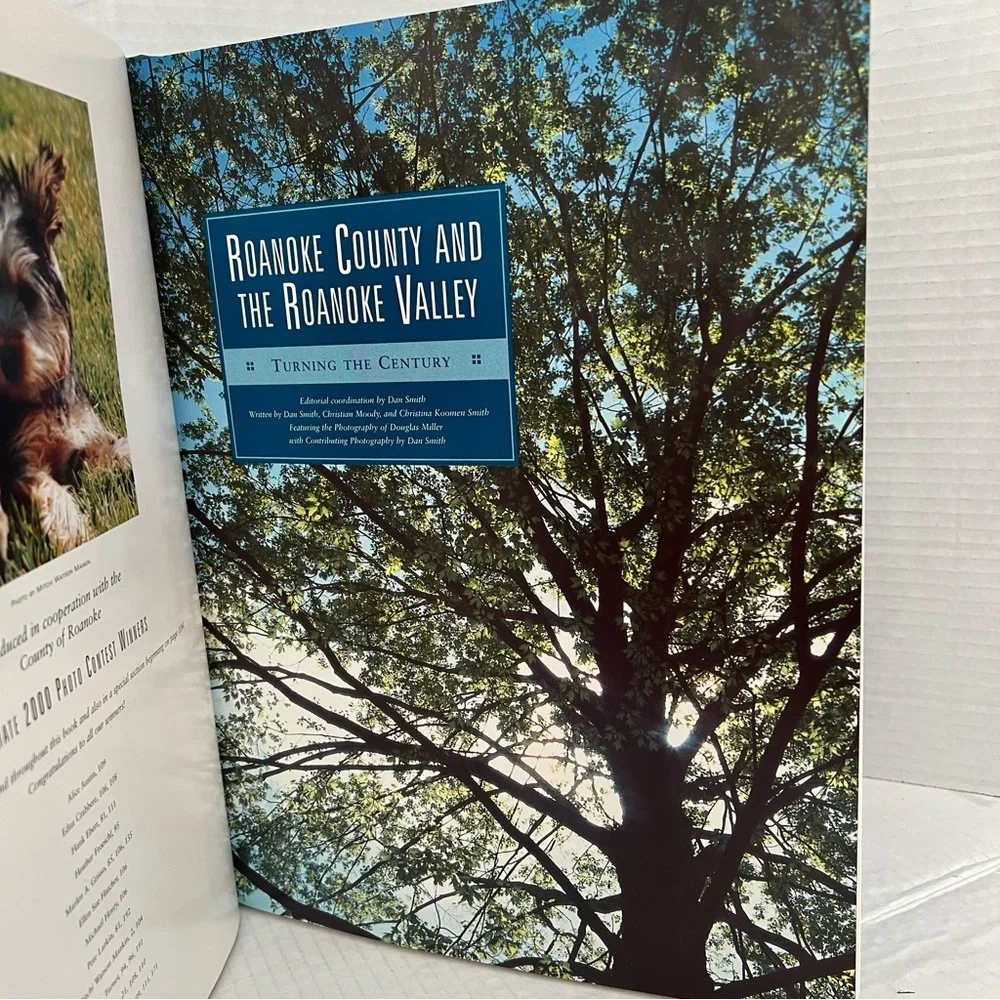 At the Turn: Roanoke Valley‎ in the 21st Century